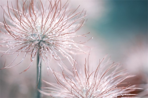 大寒节气祝福经典句子60句