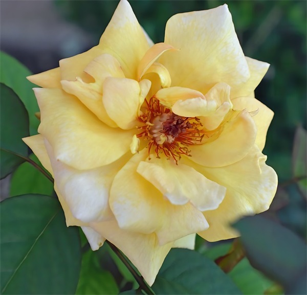 赏月心情句子 赏月心情句子中秋 赏月心情句子 赏月心情句子中秋