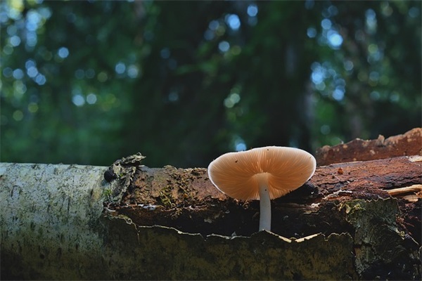 七夕节送老公祝福语