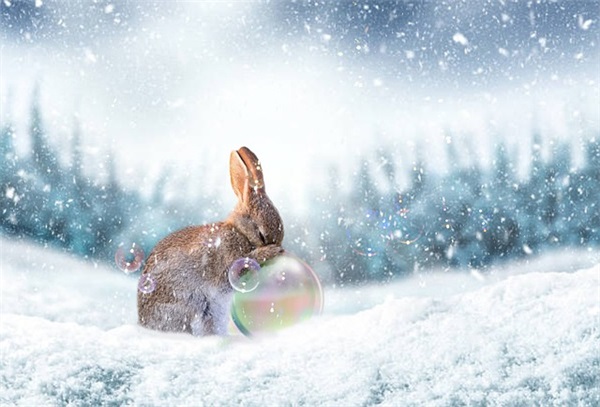 搞笑的新婚祝福语34句