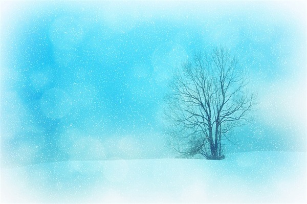 老妈的派对生日祝福