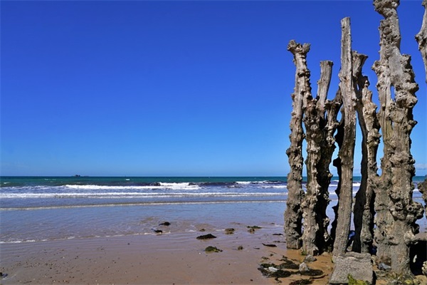 寝室安全标语大全 校园安全标语大全 寝室安全标语大全 校园安全标语大全