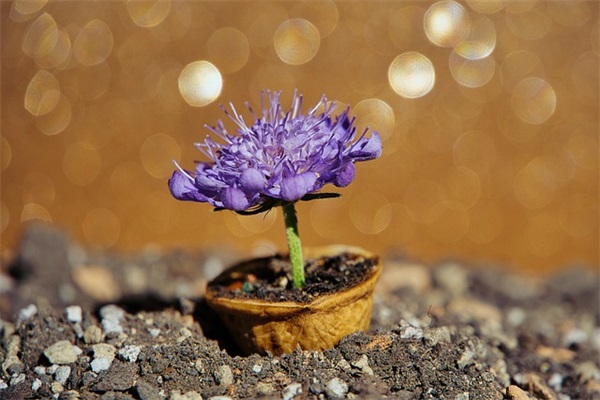 服装企业的口号大全87句