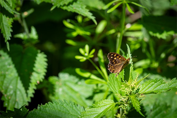 扶贫日活动宣传标语 小学生爱护眼睛的宣传语