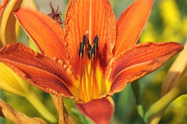 激励班级的口号82句