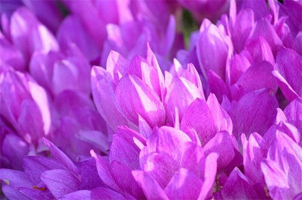 节约光荣浪费可耻宣传标语