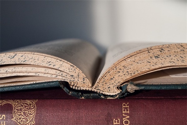 学习宣传标语100句