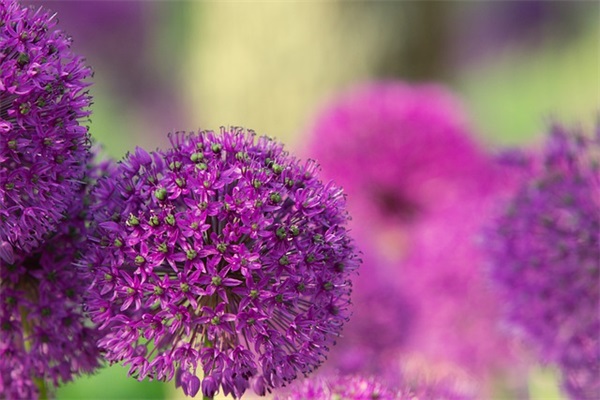 激励紧张销售团队口号84句