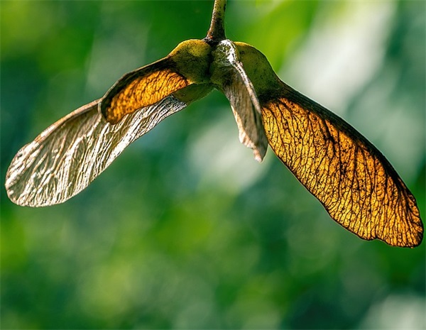 集体口号霸气押韵81句