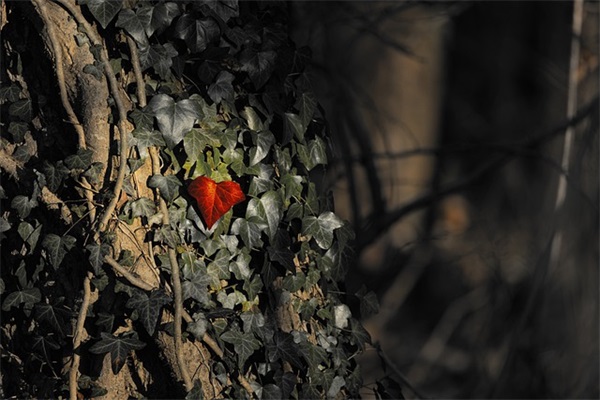 保险士气展示口号大全83句