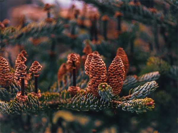 高三百日誓师口号霸气84句