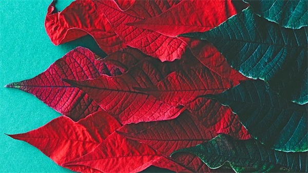 地产销售团队口号86句