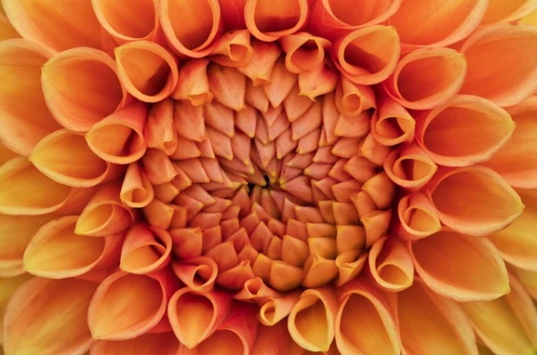 霸气高二跑操口号80句