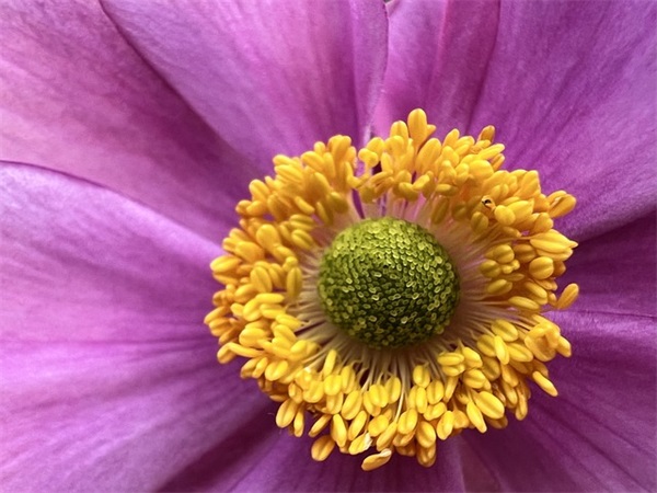 创文明班级口号88句