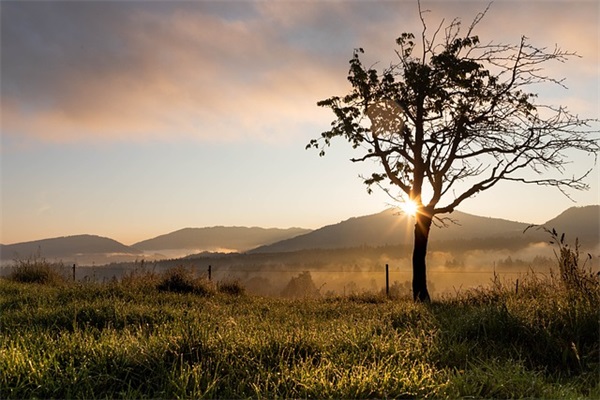 学校运动会经典口号
