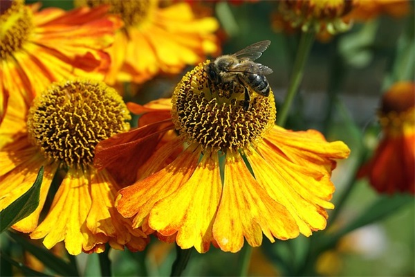 最新给客人的腊八节祝福语