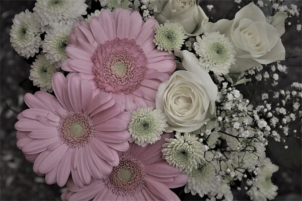 毕业祝福语四字62句