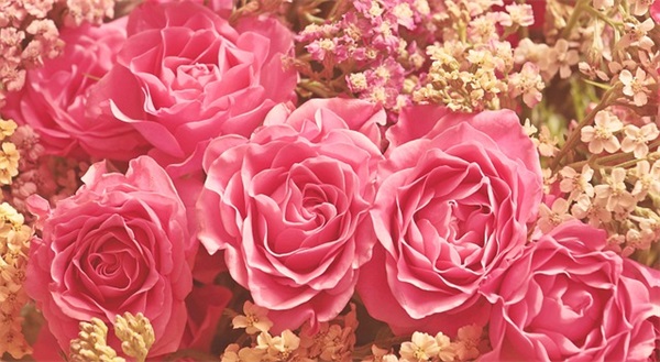 高考祝福语文艺 高考祝福语对联