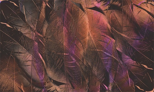 2026年简短的正能量励志句子