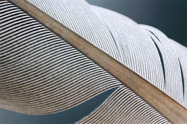 大学生运动会霸气口号85句