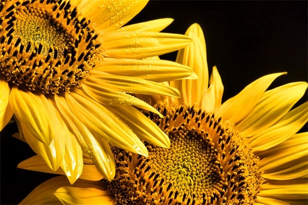 服务保障宣传口号 服务宣传口号