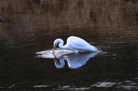 消防安全宣传横幅标语 消防安全横幅条幅标语