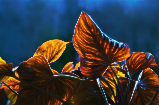 2025双十一活动主题口号 2025双十一活动主题口号