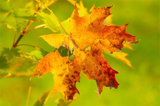 班级文化建设口号文化85句 班级文化建设口号文化85句