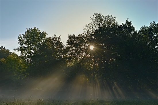 班级文明口号86句