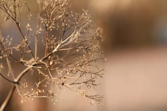 创建环保模范城市标语81句