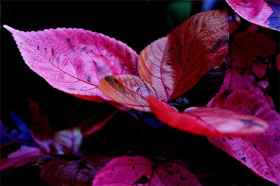 霸气大气口号84句