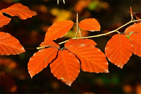 2025抗洪救灾宣传标语横幅 2025抗洪救灾宣传标语横幅