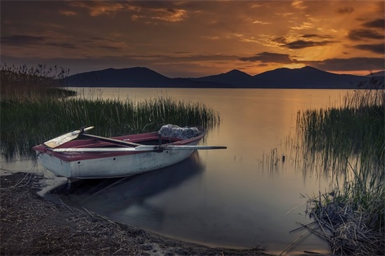 班级文化墙口号小学83句 班级文化墙口号小学83句