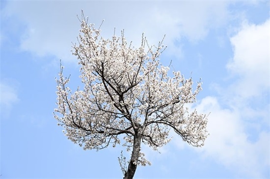 二年级运动会口号大全86句 二年级运动会口号大全86句