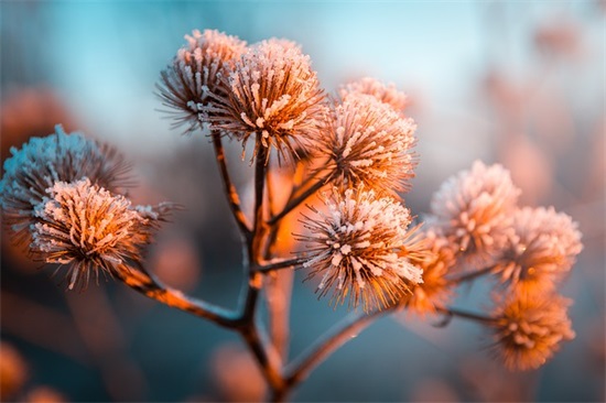 家庭安全口号大全81句