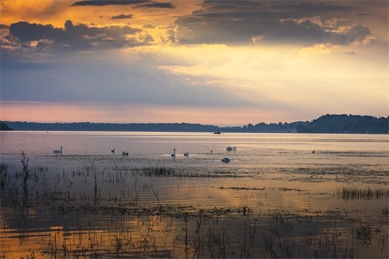 学校食堂的标语100句