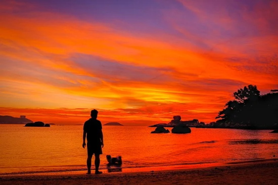 价值观口号大全83句