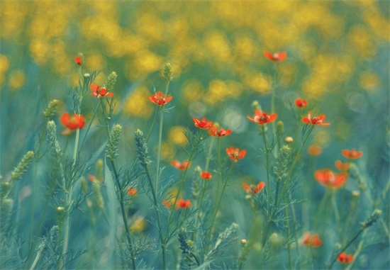 比较有气势的口号霸气84句