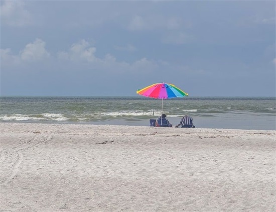 关于食品安全的句子 食品安全内容