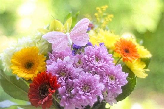 冬天晚安的句子