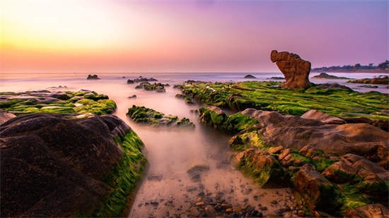 一个人必须坚强的句子 自己独立坚强的句子