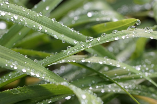 夜晚月色迷人的句子 燃烧的夜晚精选