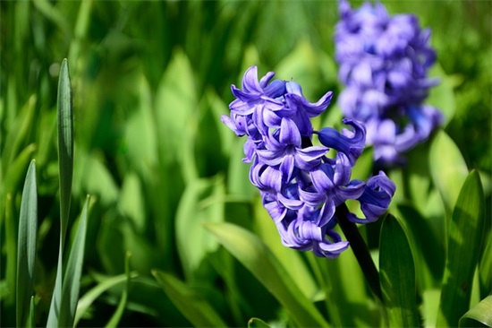 形容心情很低落的伤感心情句子