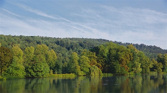 表达对老师尊敬和赞美的句子