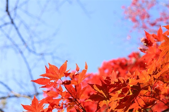 精选很高傲很霸气的qq句子大全(有内涵高冷霸气的句子)