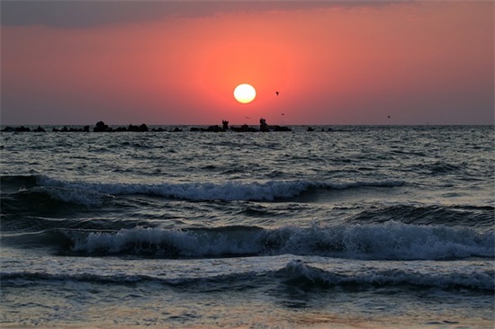 五一劳动节祝福好句 五一劳动节祝福好句职场