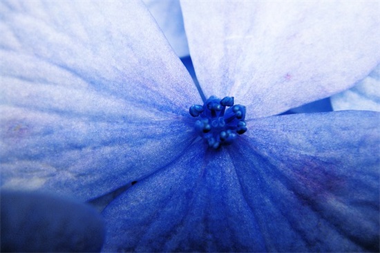 高考祝福语简短58句