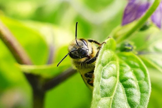 激励人生的句子