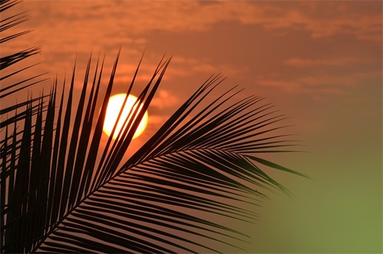 关于梦醒后的伤感句子 关于梦想的伤感句子