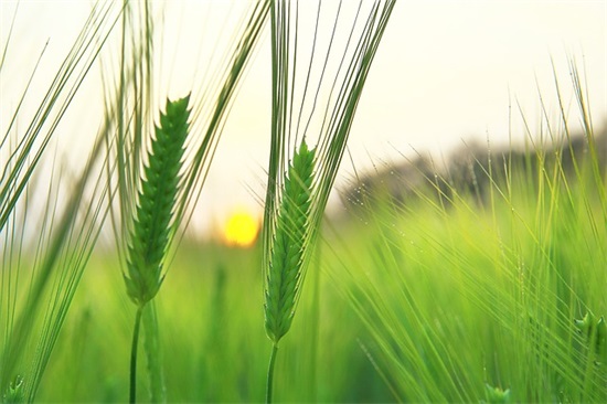 激励人不要懒惰的句子 激励人奋发上进的句子